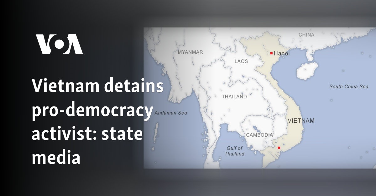 Vietnam detains pro-democracy activist: state media