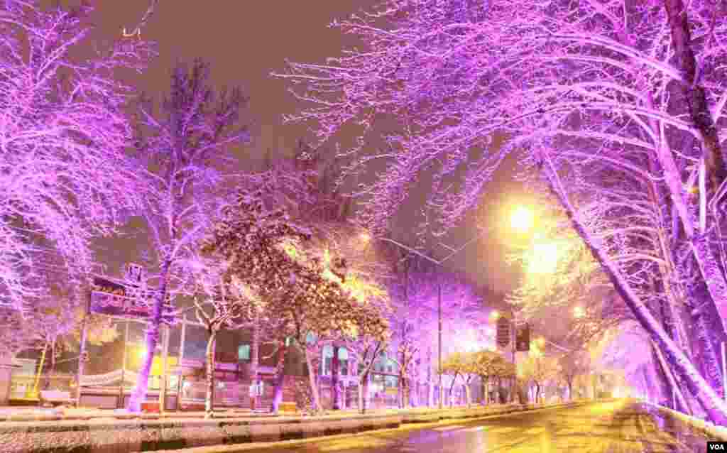 بارش برف در ارومیه عکس: سعید (ارسالی شما)