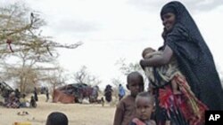 Hague: Lacag loo Ururiyay Abaaraha