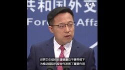 赵立坚：谭德塞领导的WHO发挥抗疫重要作用 中方坚定支持