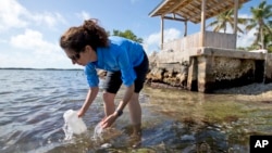 FILE - Sarah Egner, director of curriculum development at Marinelab in Key Largo, Florida, takes a water sample to check for the presence of microscopic plastics in the water, Feb. 7, 2017.