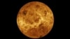 Scientists Wonder About Possible Sign of Life on Venus