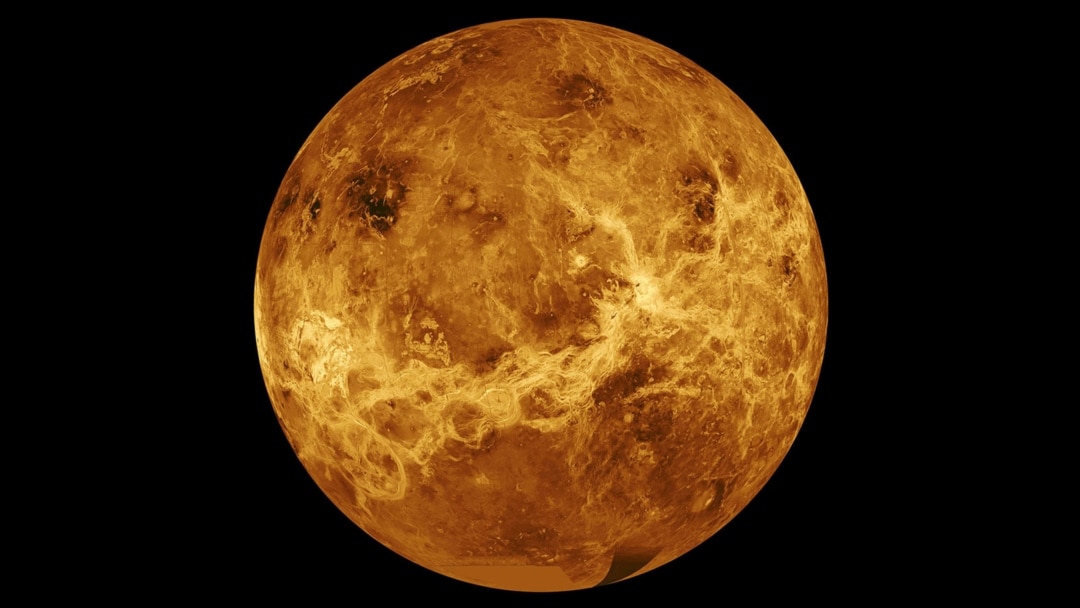 VENUS@プロフ必読 More Information about Little-Known Venus