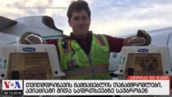 ამერიკა 60 წამში, 13 აგვისტო 2018