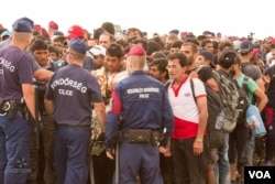 Migrants on the Serbian border. (Photo: H. Fahim / VOA)