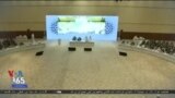 اخبار شبانگاهی