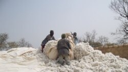 Reportage de Zoumana Wonogo, correspondance à Ouagadougou pour VOA Afrique