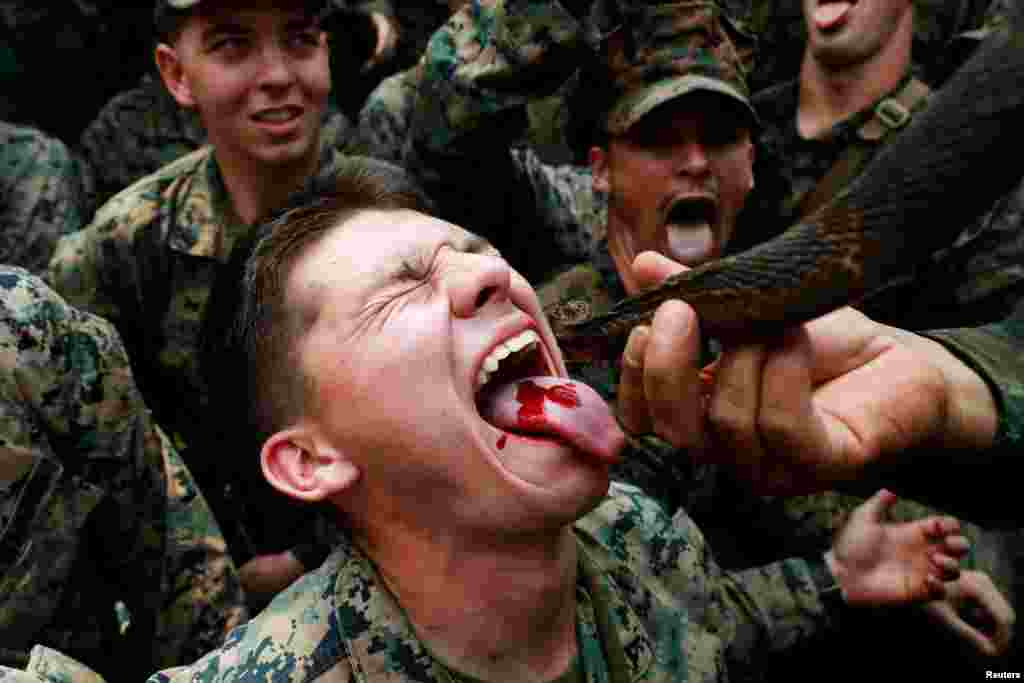 A soldier is fed snake blood during the Cobra Gold multilateral military exercise in Chanthaburi, Thailand.