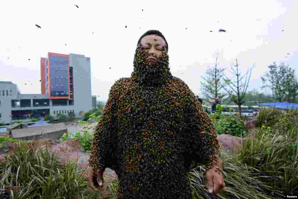 اس نے اپنے جسم پر 28 چھتے لگا کر مکھیوں کو راغب کیا۔