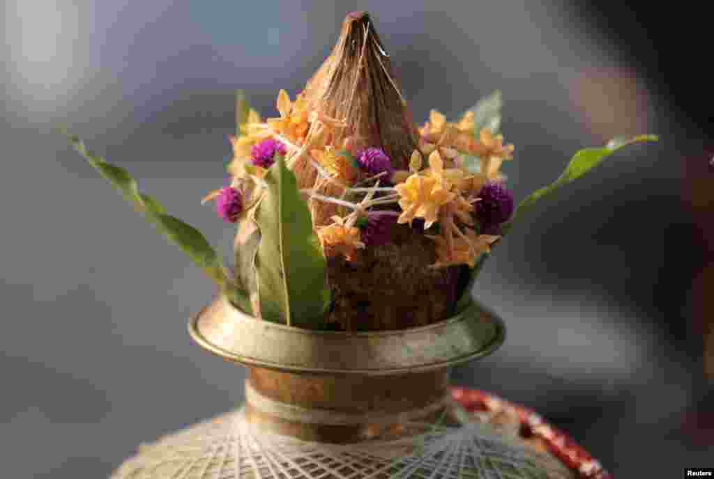 پونگل کے دن ناریل کی بھی پوجا کی جاتی ہے جب کہ اسے پھولوں سے بھی سجایا جاتا ہے۔ تامل افراد کے ہر کھانے میں ناریل لازمی استعمال ہوتا ہے۔ ناریل کا تیل، کچا ناریل کھانا، اس کا پانی پینا اور ہر خوراک میں ناریل ڈالنا ایک قدیم روایت ہے۔