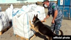 Azərbaycan gömrükçüləri narkotik partiyasının İrandan Polşaya aparılmasının qarşısını alıb 