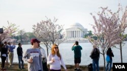 Des touristes à Washington, D.C. (Elizabeth Pfotzer/VOA)