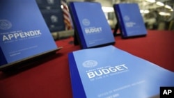 The newly published 2012 budget documents on display at the U.S. Government Printing Office in Washington, February 10, 2011