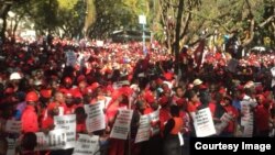 MDC Alliance ZEC March 3