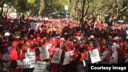 MDC Alliance ZEC March 3