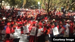 MDC Alliance ZEC March 3