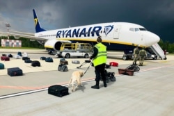 FILE - A Belarusian dog handler checks luggage off a Ryanair airplane parked on Minsk international airport's apron in Minsk, May 23, 2021.