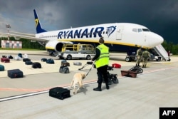 FILE - A Belarusian dog handler checks luggage off a Ryanair airplane parked on Minsk international airport's apron in Minsk, May 23, 2021.