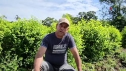 Violencia entre grupos armados recrudece crisis humanitaria en Colombia