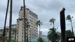 Foto tomada y publicada por el Ayuntamiento de Miyazaki, Japón, el 29 de agosto de 2024 muestra árboles destrozados por los fuertes vientos del tifón Shanshan en el parque Tachibana de Miyazaki. 