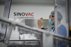 FILE - A staff member works during a media tour of a new factory built to produce a COVID-19 vaccine, at Sinovac, in Beijing, China, Sept. 24, 2020.