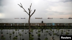 Seorang warga duduk di atas dinding laut saat memancing di pelabuhan Muara Baru, Jakarta. (Foto: Dok)