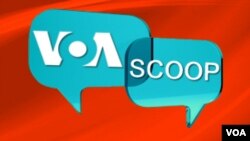 Jadi Relawan Nadia Syahmalina Bantu Tuna Wisma di Washington, D.C.