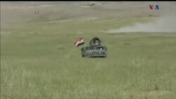 اخبار شامگاهی