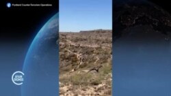 Humnoonni Nageenyaa Kutaa Puntilaand ka Biyya Somaaliyaa Garee Shororkeessotaa Isilaamik Isteetis Irratti Tarkaanfii Fudhataa Jiran