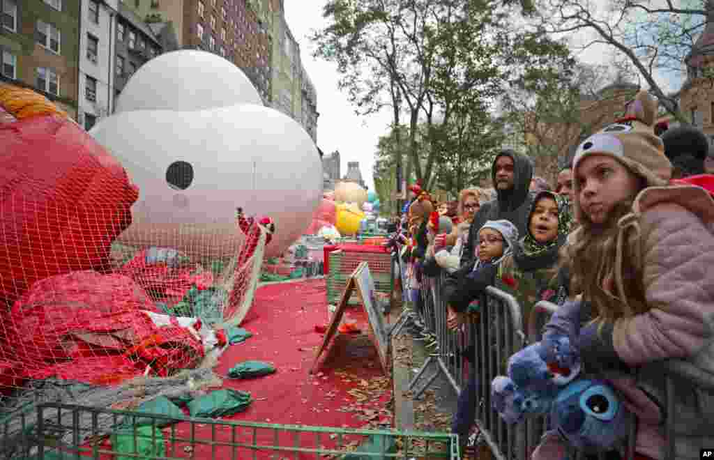 Las multitudes se reúnen para ver globos de personajes gigantes, que se inflan la noche antes de su aparición en el desfile. 