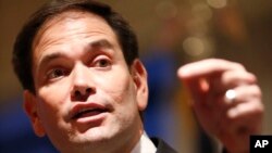 Marco Rubio Senate