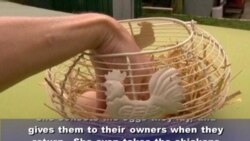 In England, a Hotel for Chickens