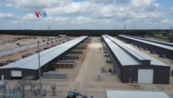 Dilarang di Tiongkok, Penambangan Kripto 'Booming' di Texas