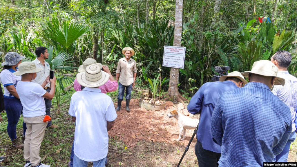 El Programa de Incentivos Económicos Ambientales del Canal de Panamá promueve la protección de los territorios dentro de la cuenca, e incentiva la implementación de mejores prácticas de producción. 