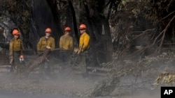 Firefighters clear trees off the road in the Palisades Fire zone in the Pacific Palisades neighborhood of Los Angeles, California, Jan. 17, 2025.