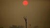 A view of a deforested area at the National Forest Bom Futuro in Rio Pardo, Rondonia state, Brazil, Sept. 12, 2019.