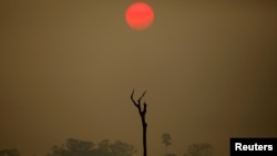 A view of a deforested area at the National Forest Bom Futuro in Rio Pardo, Rondonia state, Brazil, Sept. 12, 2019.