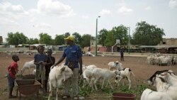 Office du Niger Ne Bagan Maralaw