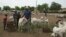 Bata Doucoure, un vendeur de moutons basé à Bamako, se tient avec ses moutons au marché aux moutons de Lafiabougou à Bamako le 13 juillet 2021.