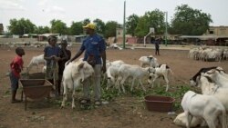Seliba Bobo Dioulasso