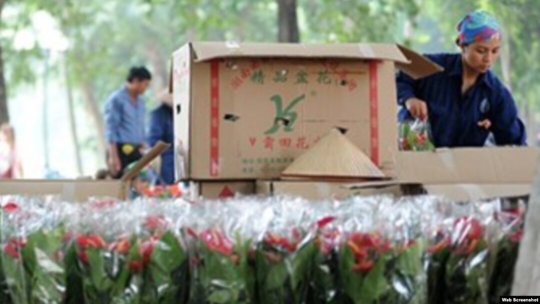 Đại diện nơi cung cấp hoa được trích lời cho biết cho biết, đơn vị này thường mua các loại thùng có sẵn về đựng hoa rồi sau đó mang đi phân phối.
