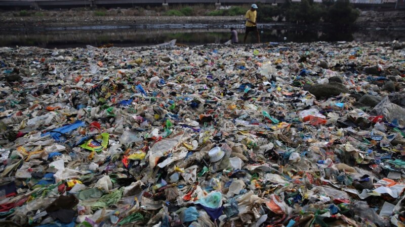 World Must Work Together to Tackle Plastic Ocean Threat: WWF