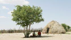 Le Monde au Féminin