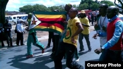 Zanu-PF youth