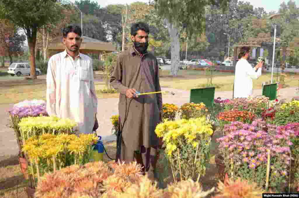 پھول صحت مند ماحول میں کلیدی کردار ادا کرتے ہیں۔