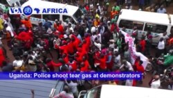 VOA60 Africa- Uganda: Police shoot tear gas at demonstrators protesting a social media tax in Kampala.
