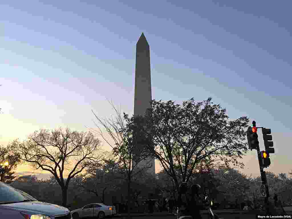 Cerejeiras em flor no Monumento de Washington, capital federal dos Estados Unidos da América. Abril 13, 2015