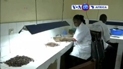 Manchetes Africanas, 31 de Março de 2015