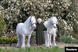 British Queen Elizabeth II holds her Fell ponies, Bybeck Nightingale (right) and Bybeck Katie in this handout picture released April 20, 2022 by The Royal Windsor Horse Show to mark the occasion of her 96th birthday. Courtesy: henrydallalphotography.com