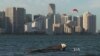 Miami Faces Future of Rising Seas